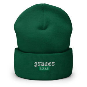 Gorro Bordado Clásico Holligan – Street 1312